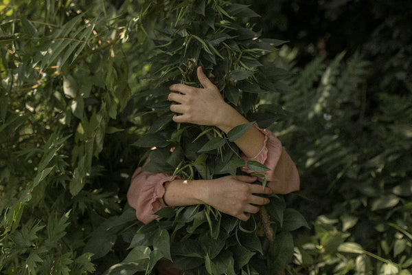 Woman embracing a green fern tree from behind