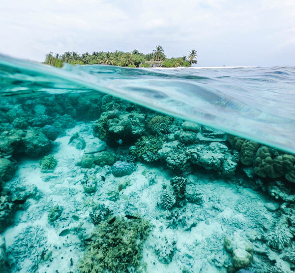 Underwater view from sea to an island