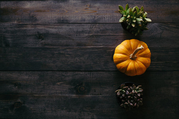 pumkins and foliage on dark grey background